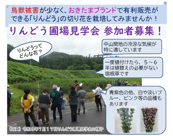 チラシ